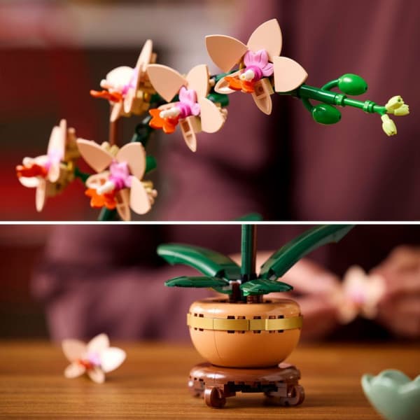 LEGO Botanicals 10343 – Miniorkidé
