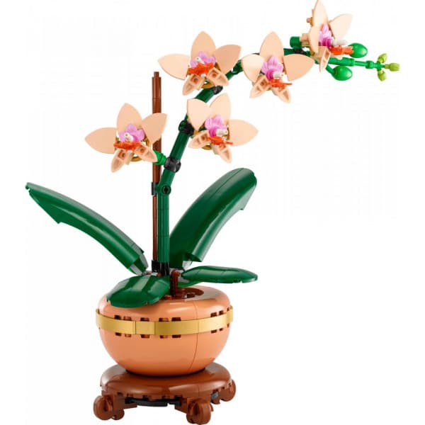 LEGO Botanicals 10343 – Miniorkidé