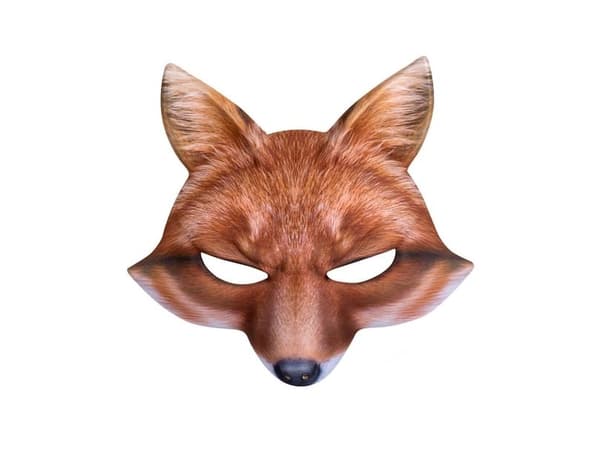 Boland 8712026567321, Adult & Child, Face mask, Animal, 1 pc(s)