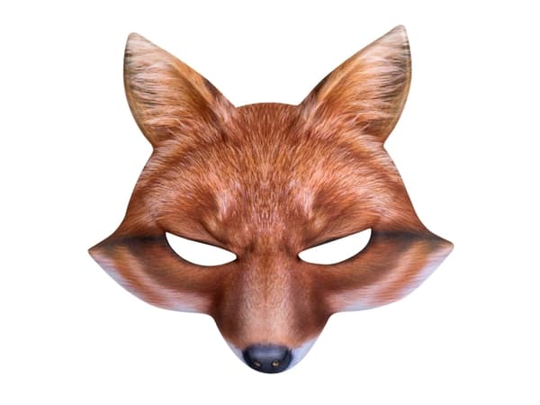Boland 8712026567321, Adult & Child, Face mask, Animal, 1 pc(s)