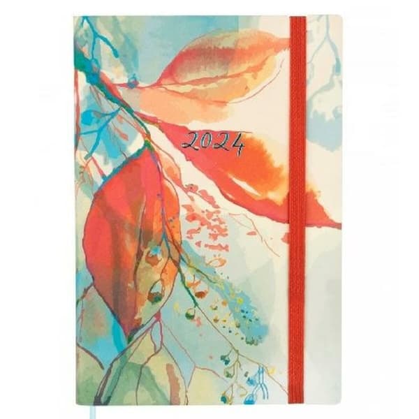 Dagbok Finocam Dynamic Casual 2024 acuarela Multicolour A5 14 x 20,4 cm