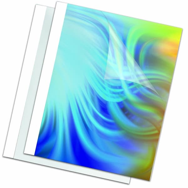 Bindande omslag Fellowes 100 antal Vit A4 PVC