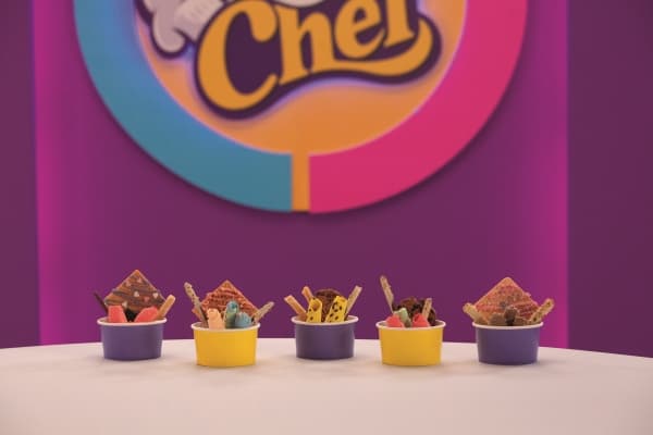 ZAP CHEF Ice-cream Mini Rolled Lab