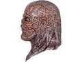 Pikkukuva 4 / 5: Vecna naamio