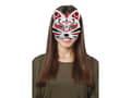 Miniatyrbild 3 av 4: Vit kattmask, måla själv