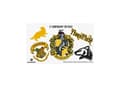 Pikkukuva 4 / 5: Hufflepuff lippalakki med slips