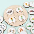Miniatyrbillede 5 af 6: OBOSOE Livscyklusdiagram i træ – dyre- og planteudvikling, læringspuslespil med klistermærker