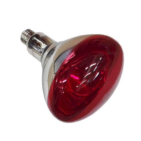 Infrarød lyspære Philips 923212043801 250 W E27