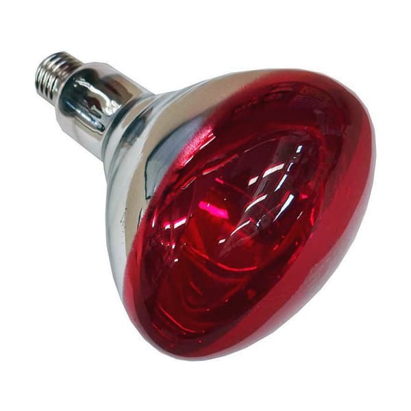 Infrarød lyspære Philips 923212043801 250 W E27