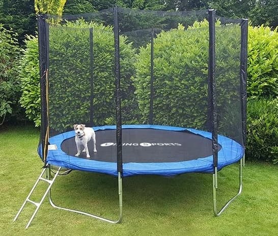 Trampolin 244 cm med sikkerhedsnet - op til 200 lbs - blå