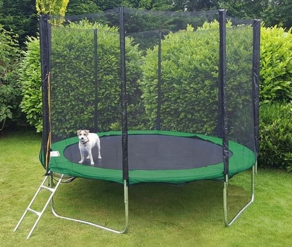 366cm Familie Trampolin med Sikkerhedsnet, 150kg Kapacitet, Grøn & Sort