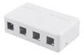 Miniatyrbilde 6 av 6: Surface mount box for Keystone, 4 ports, white