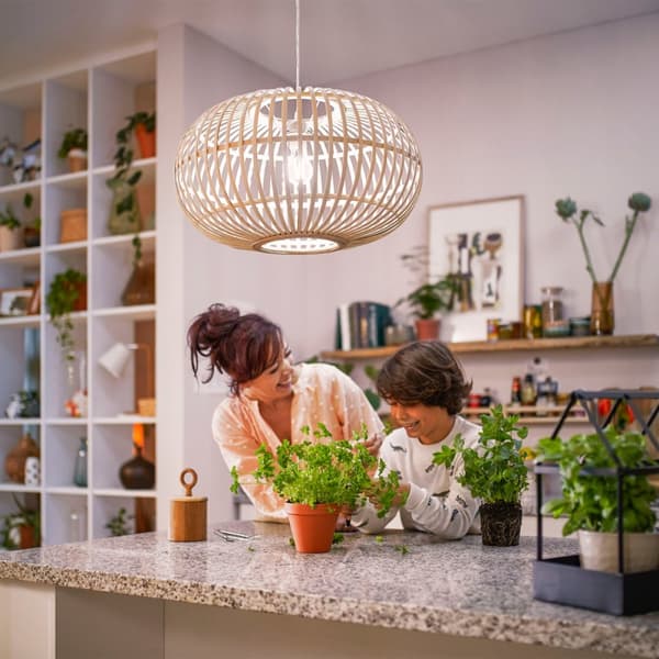 Philips LED E27 Normal A60 4W (60W) Klar 840lm Dimbar 2700K Energiklass A