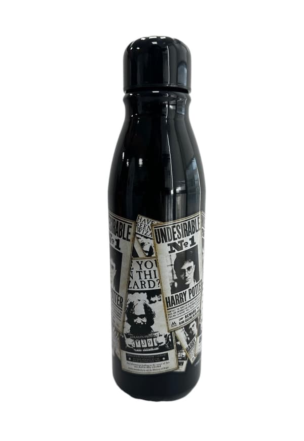 Harry Potter - Den dagliga profeten Vattenflaska i metall 600 ml