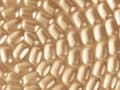 Miniatyrbild 6 av 6: Bricka dekorativ guld SUEZ