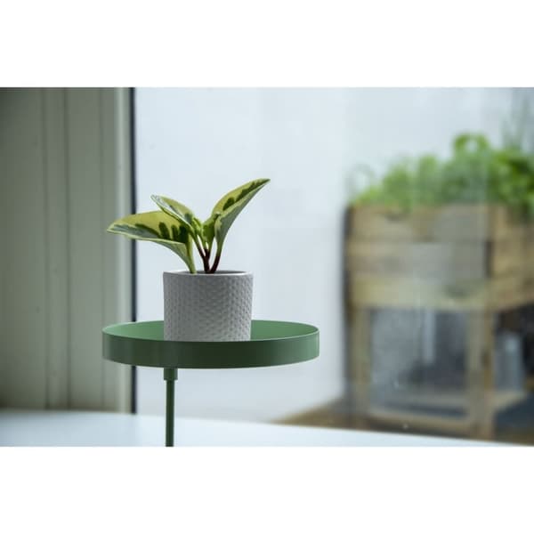Esschert Design Kasvialusta puristimella pyöreä vihreä M