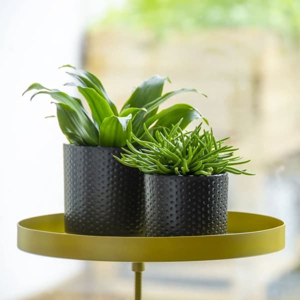 Esschert Design plantebakke med klemme str. L rund guldfarvet
