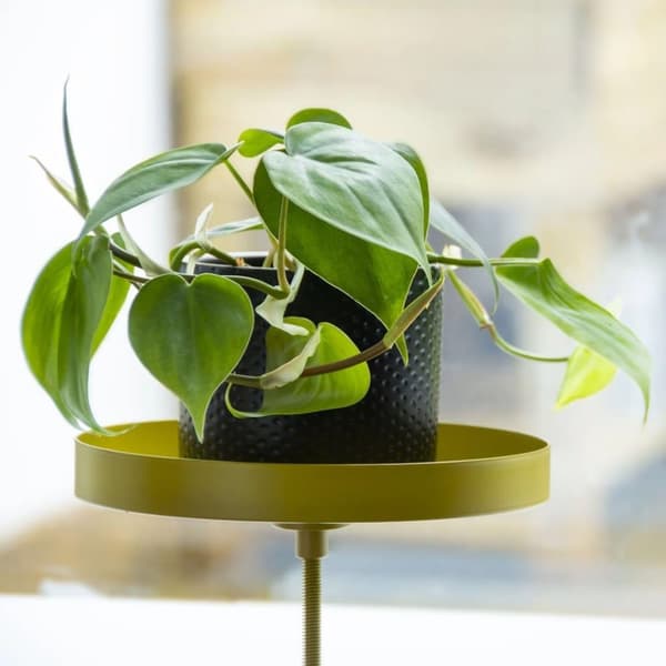 Esschert Design plantebakke med klemme str. M rund guldfarvet