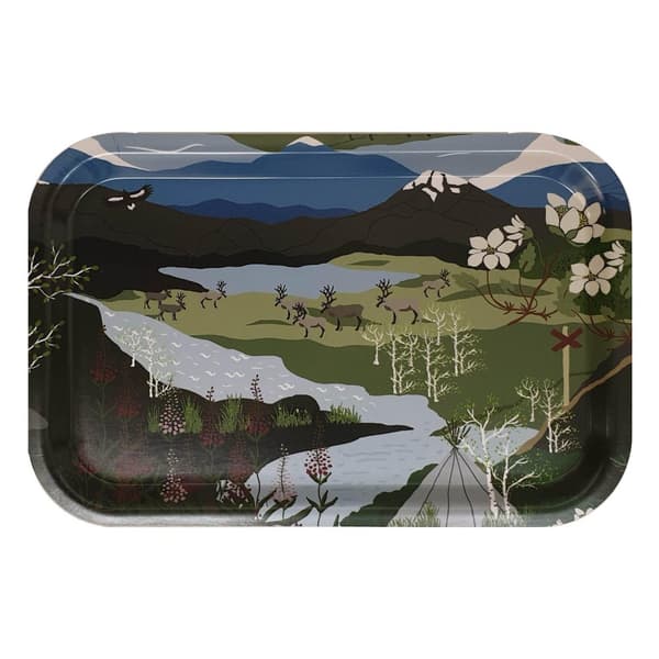 Fjällvandring Bricka - Grön/Blå