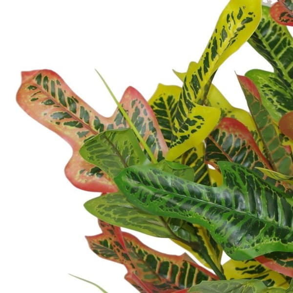 Träd - lövbuske - LEAF-7082 - Flerfärgad artificiell Codiaeum-löv 65 cm