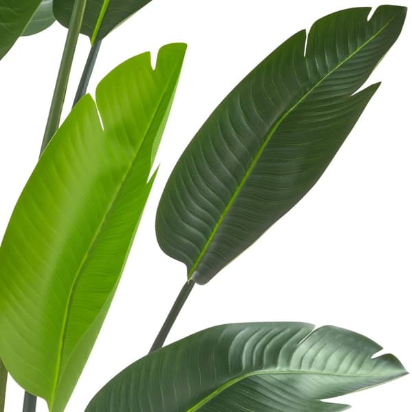 Kunstig paradisfugletræ Tropic, naturtro - 160 cm