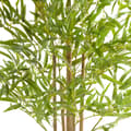 Miniatyrbillede 4 af 9: Kunstig bambustræ Bambosa, realistisk design - 120 cm