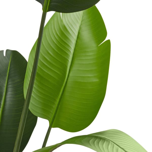 Kunstig paradisfugletræ Tropic, naturtro - 180 cm
