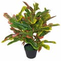 Miniatyrbild 2 av 4: Träd - lövbuske - LEAF-7082 - Flerfärgad artificiell Codiaeum-löv 65 cm