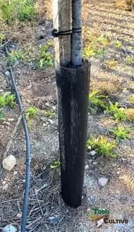 Öppen Mesh Trädskydd, 55 cm Höjd, 100% Andningsbar,30 datorer