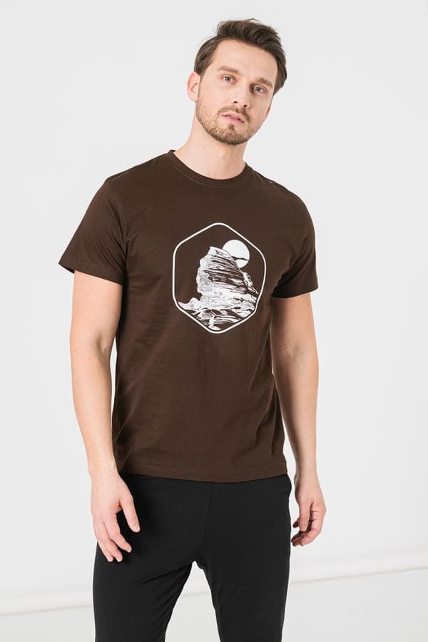 TRICOU CASUAL SFINX BARBATI COFFEE-XXL