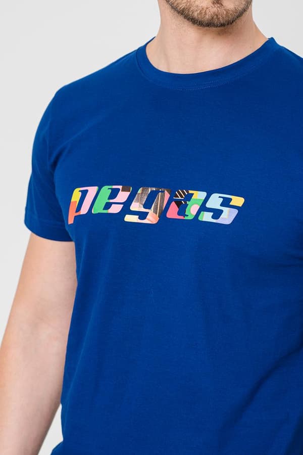 TRICOU  LOGO MULTICOLOR BARBATI   ROYAL