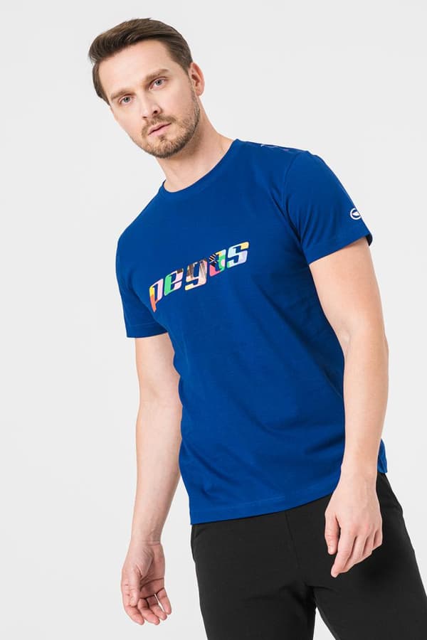 TRICOU  LOGO MULTICOLOR BARBATI   ROYAL