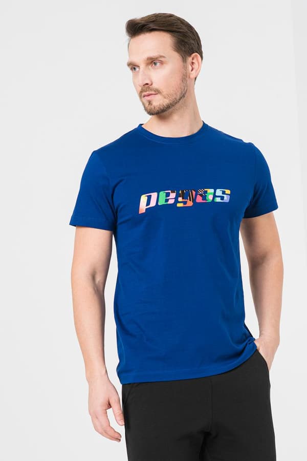 TRICOU  LOGO MULTICOLOR BARBATI   ROYAL