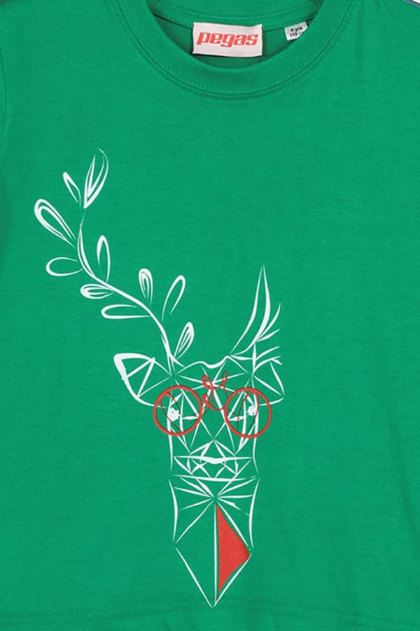 TRICOU  CERB FAMILIE COPII   K GREEN-4