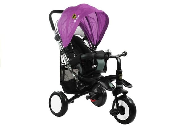 Tricycle Bike PRO400  - Violet