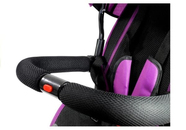 Tricycle Bike PRO500 - Violet