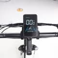 Miniatyrbillede 3 af 9: Elektrisk trehjulet cykel til last JOBOBIKE, Bafang-motor, til seniorer