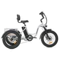 Miniatyrbillede 1 af 9: Elektrisk trehjulet cykel til last JOBOBIKE, Bafang-motor, til seniorer
