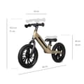 Miniatyrbild 3 av 3: Draisienne Racer Platine