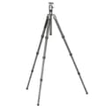 Miniatyrbild 3 av 4: Benro Monopod Rhino Carbon Fiber Three Series med VX30 kulhuvud, 4 bensektioner, vridbenslås, vadderad bärväska