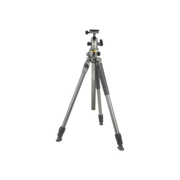 Vanguard Alta Pro 2+ 263AB100 Stativ med Vanguard Alta BH 100