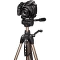Miniatyrbild 1 av 3: HAMA STAR 63 foto-/videostativ - Champagne - Max höjd 166 cm - Max vikt 4 kg