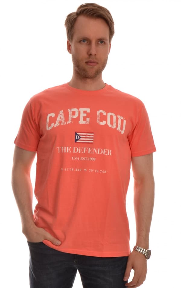 Defender - Alvin Tee Cape Cod-print