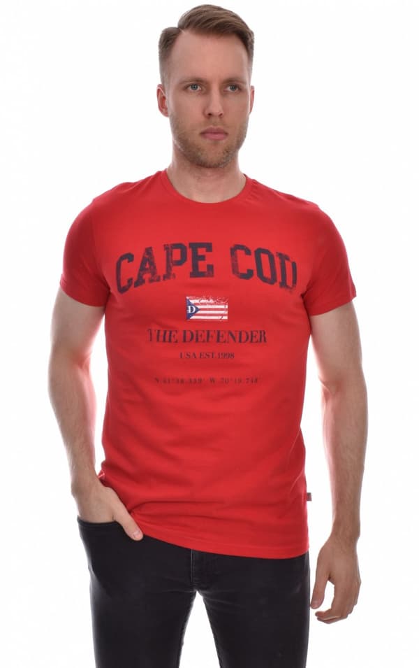 Defender - Alvin Tee Cape Cod-print