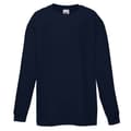 Miniatyrbillede 1 af 3: Fruit of the Loom Langærmet T-shirt med lange ærmer til børn (pakke med 2 stk.)