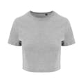 Pikkukuva 1 / 2: AWDis Just Ts Womens Girlie Tri-Blend Cropped T-Shirt