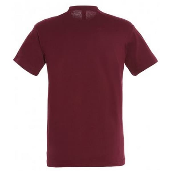 SOLS Herre Regent kortærmet T-shirt med korte ærmer