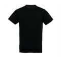 Miniatyrbillede 2 af 3: SOLS Herre Regent kortærmet T-shirt med korte ærmer