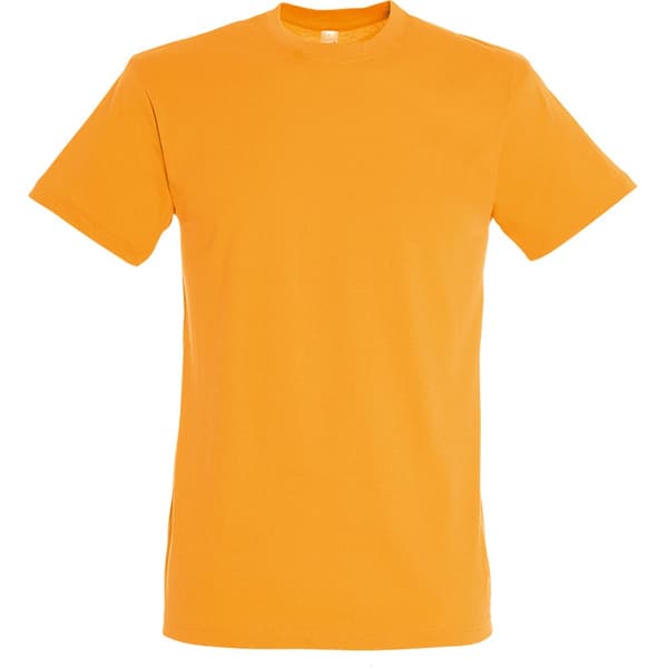 SOLS Herre Regent kortærmet T-shirt med korte ærmer