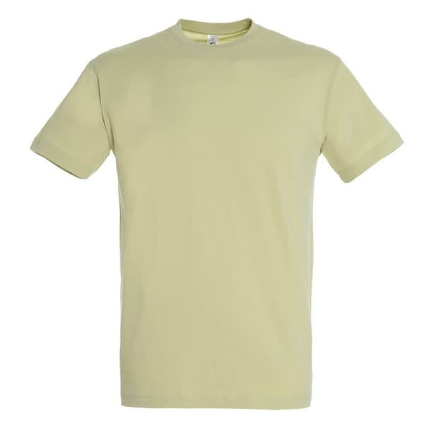 SOLS Herre Regent kortærmet T-shirt med korte ærmer
